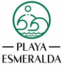branding logo